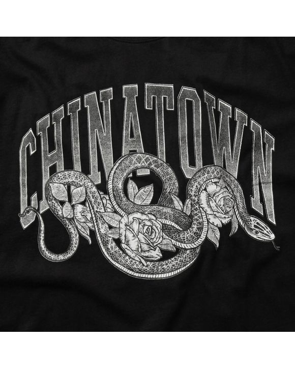 Snake Arch Tee