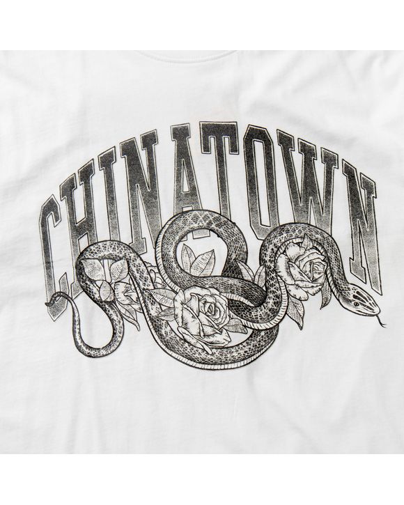 Snake Arch Tee