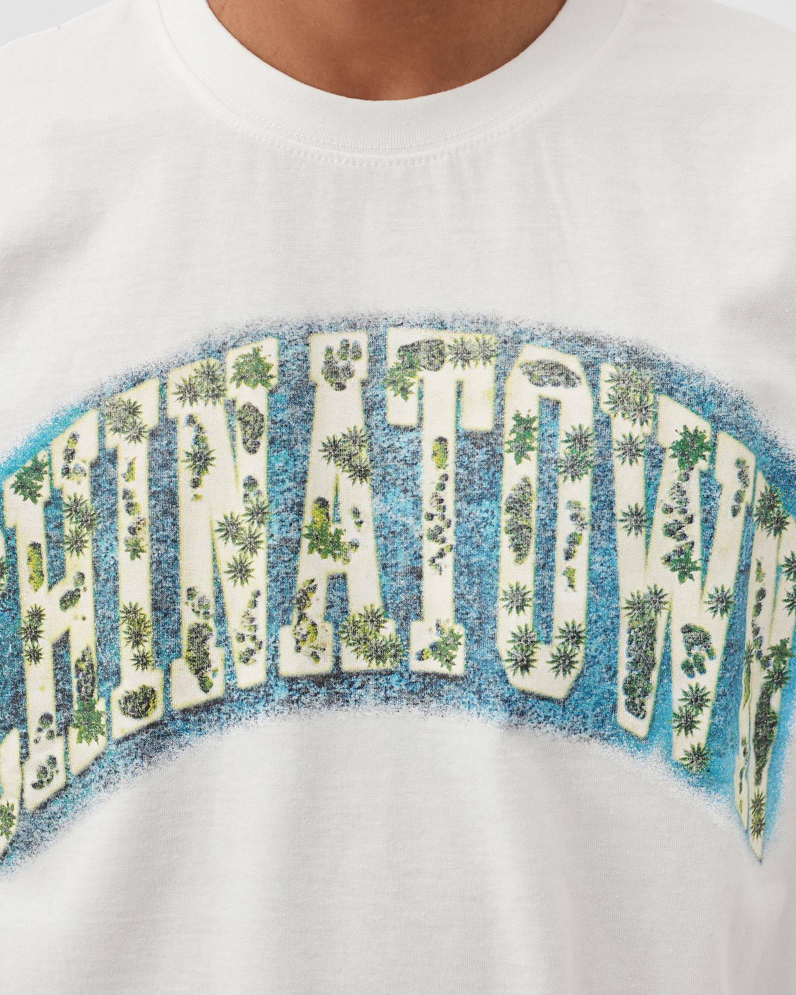 Chinatown Arc Island Tee