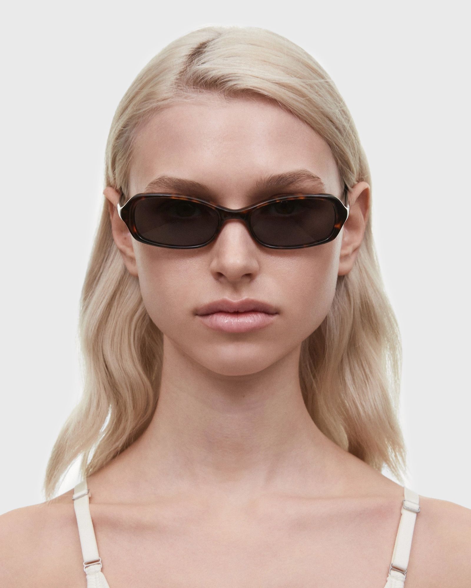 CODE TORTOISE MEDIUM