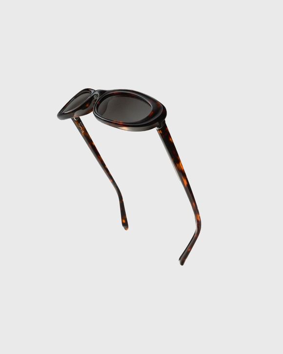 BOW TORTOISE