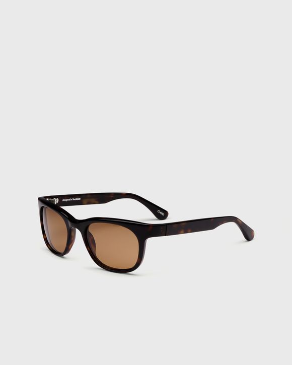 Thumbnail - Savy Dusty Tortoise