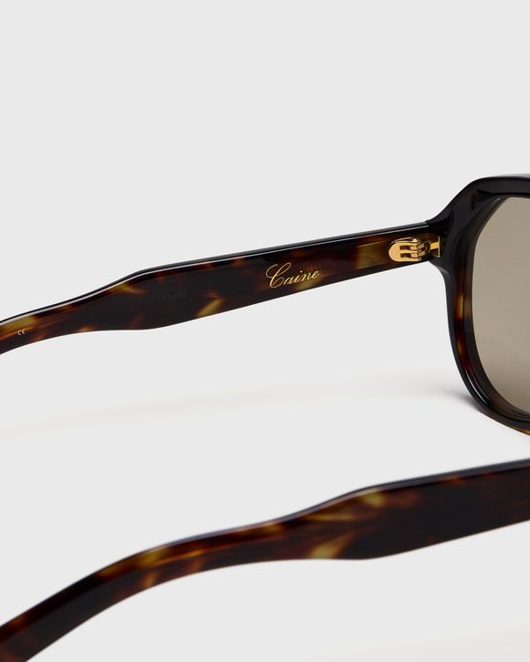 Caine Tortoise
