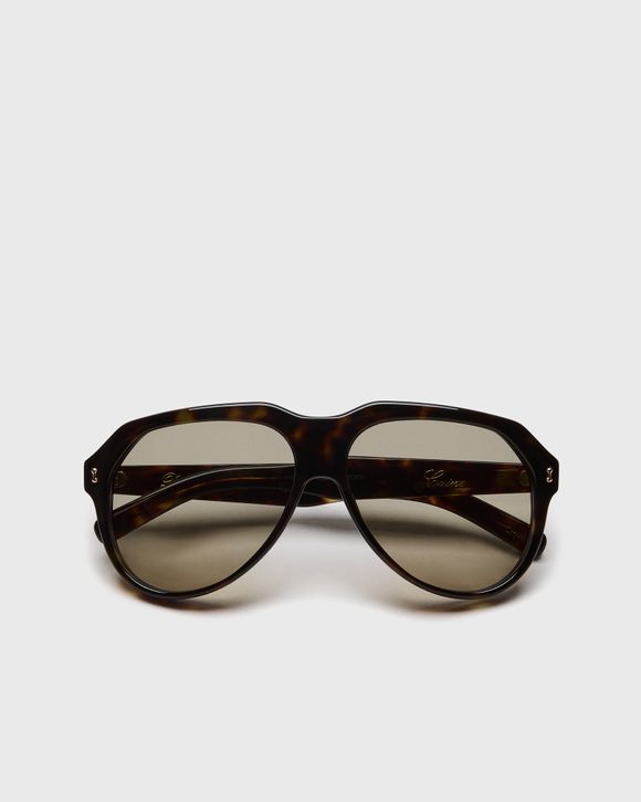 Caine Tortoise