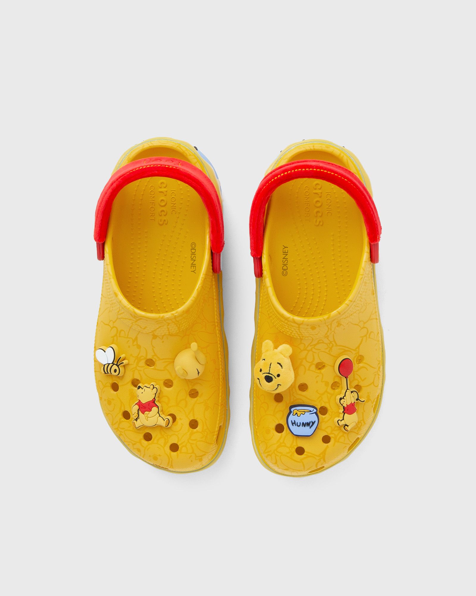 Winnie The Pooh Cls Plt Clog W