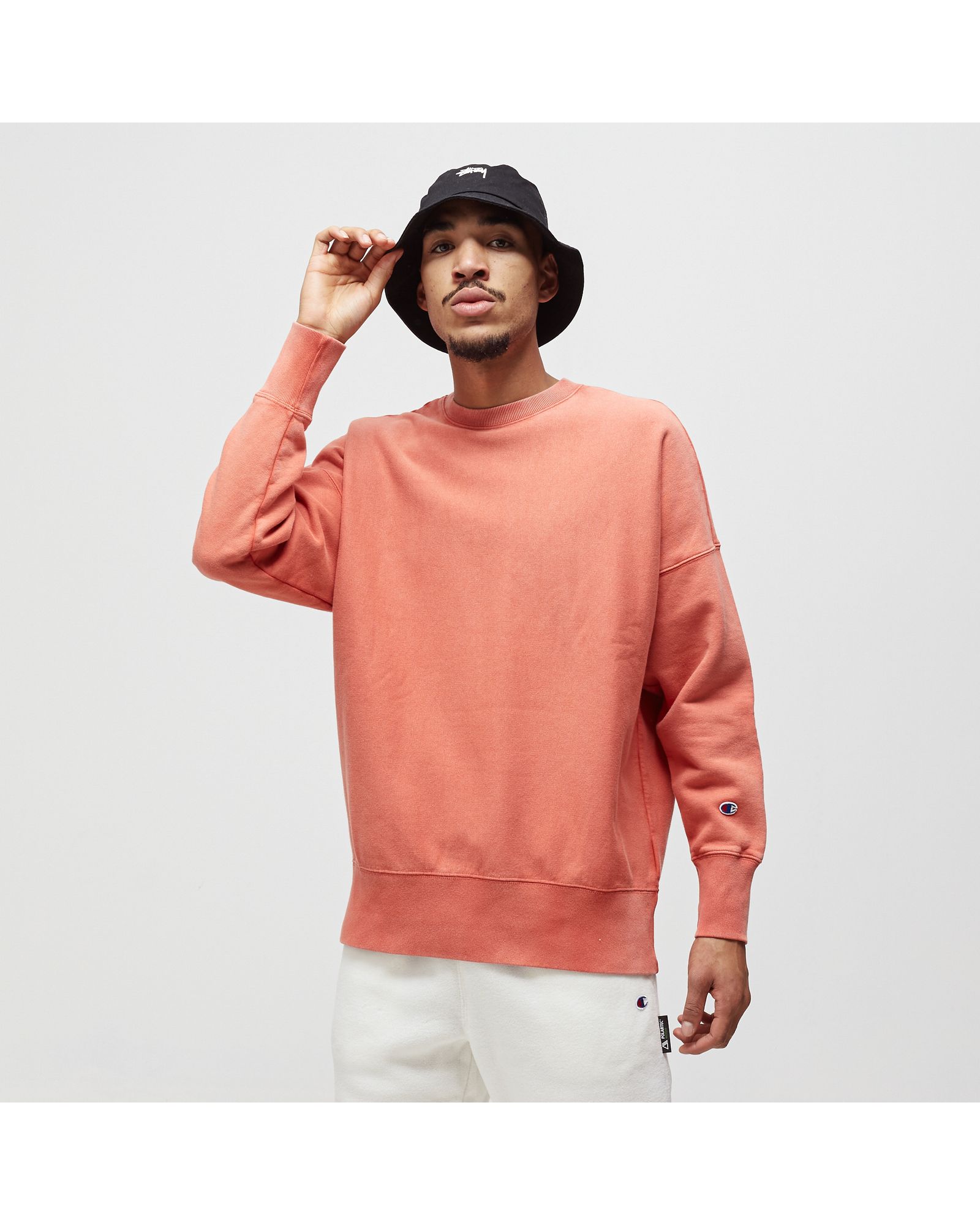Reverse Weave Sweatshirt