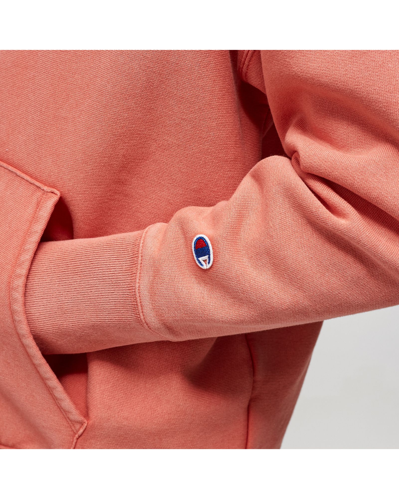 Reverse Weave Hoodie