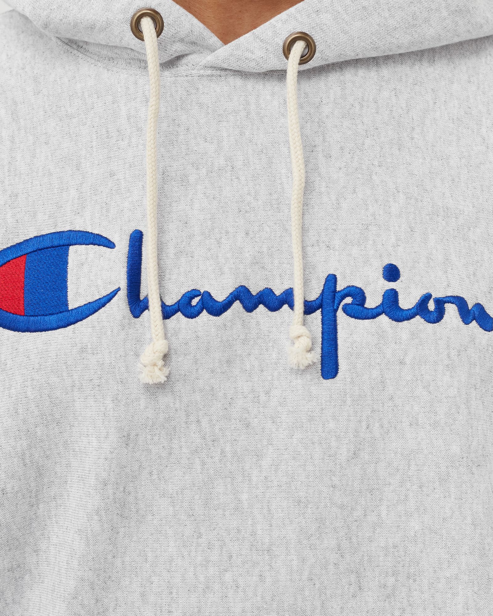 SCRIPT LOGO REVERSE WEAVE HOODIE