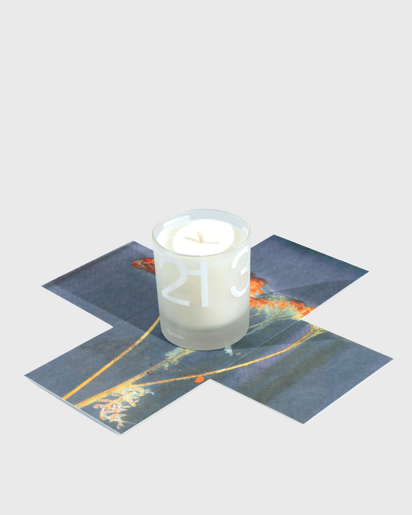 Pegwell Candle - 240 ml