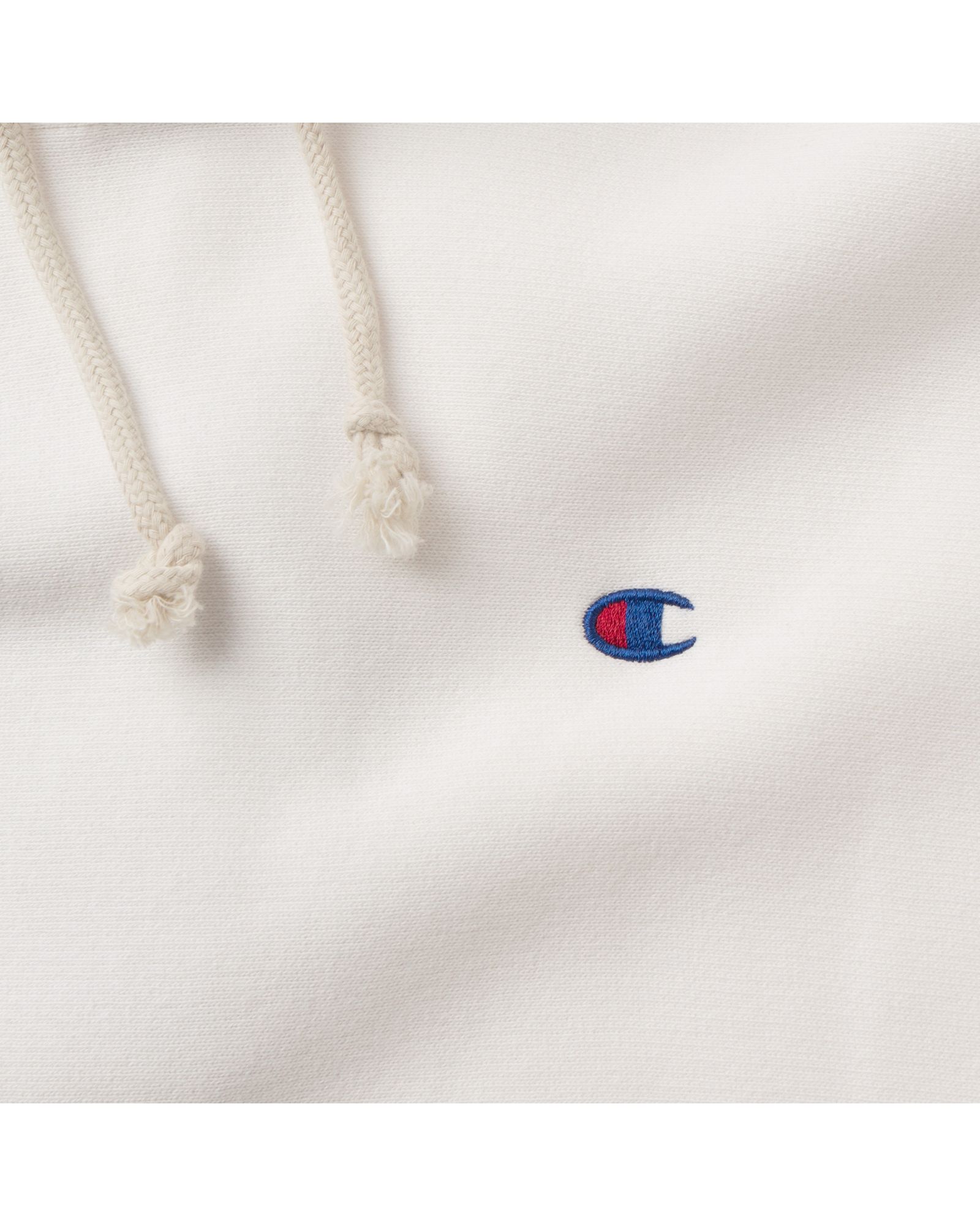 Reverse Weave Hoodie