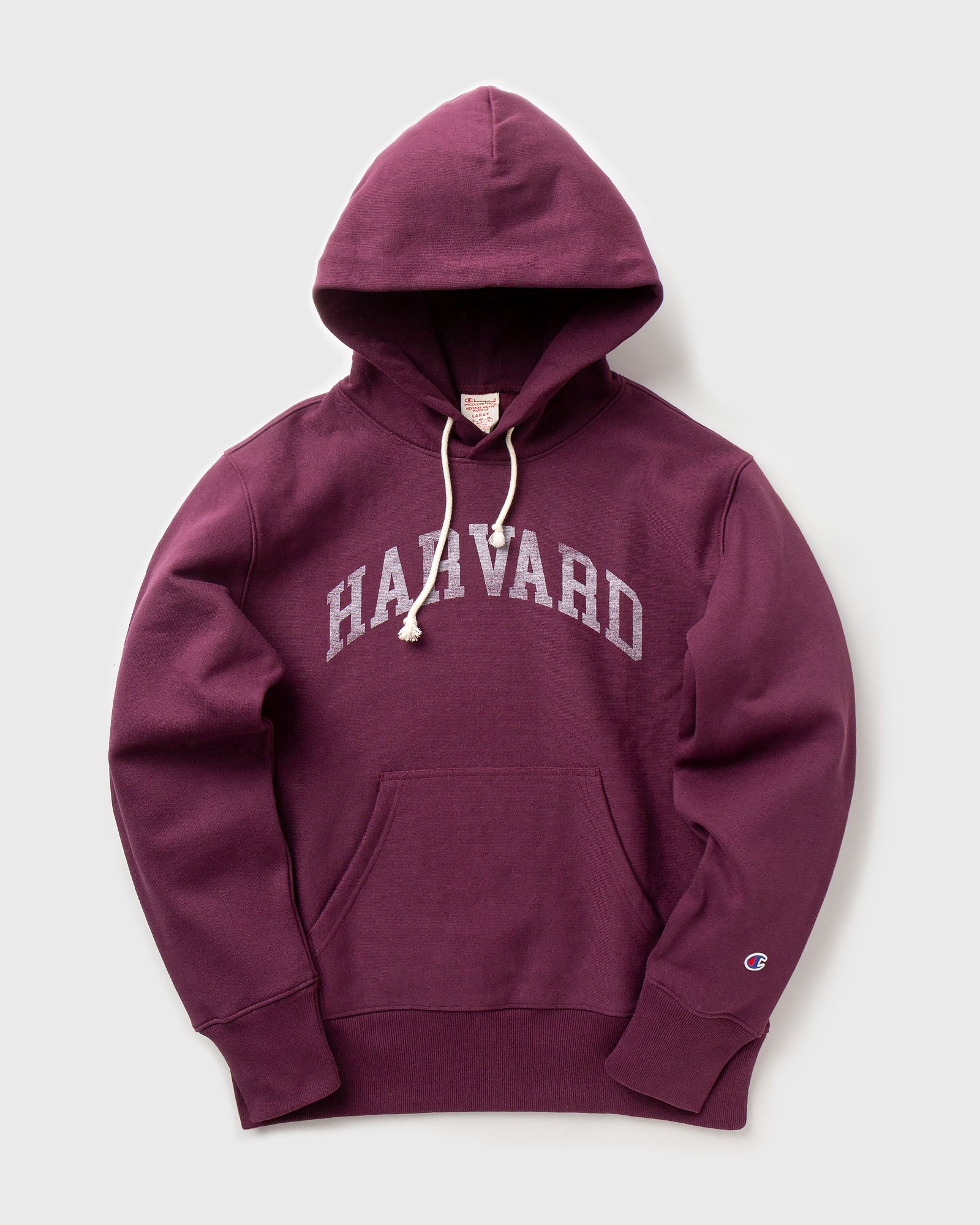 REVERSE WEAVE HAVARD Hoodie