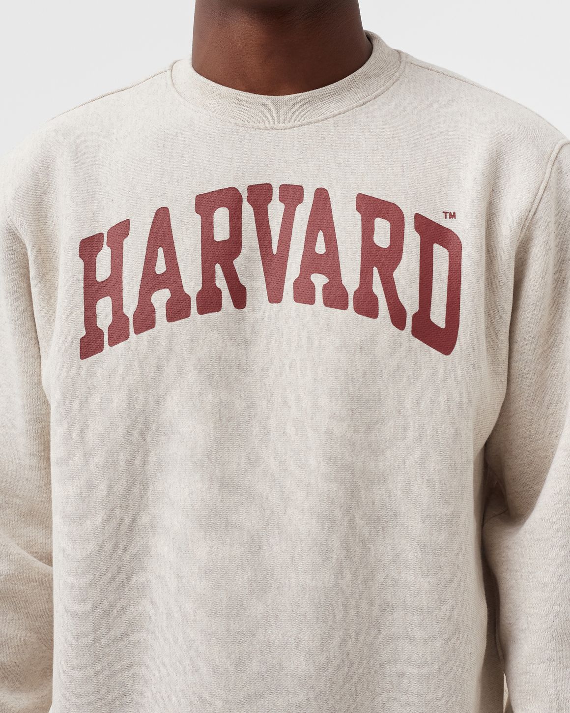 Champion harvard crewneck sale