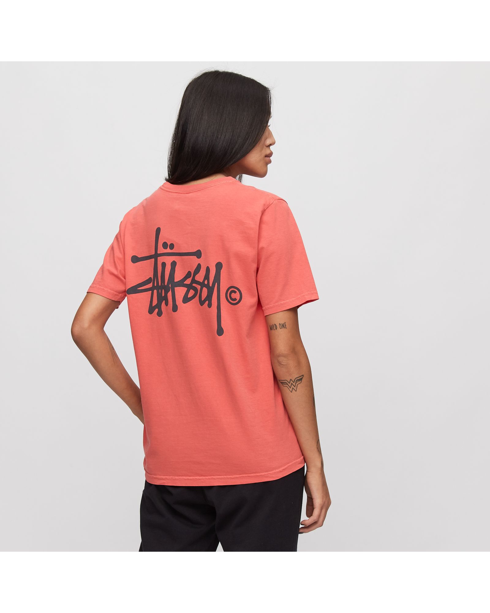 Basic Logo Pig. Dyed Tee