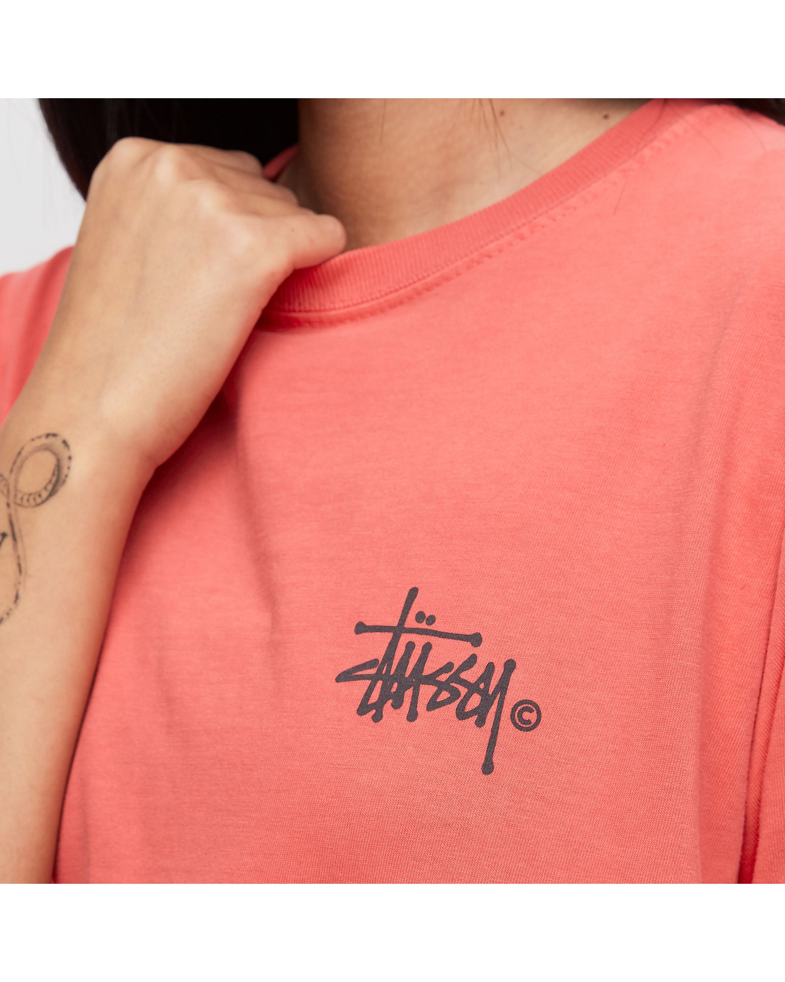 Basic Logo Pig. Dyed Tee