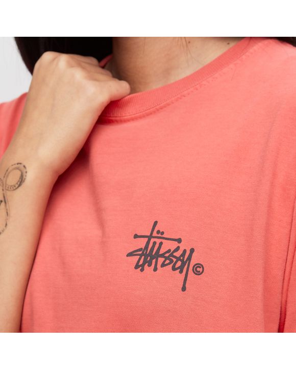 Basic Logo Pig. Dyed Tee