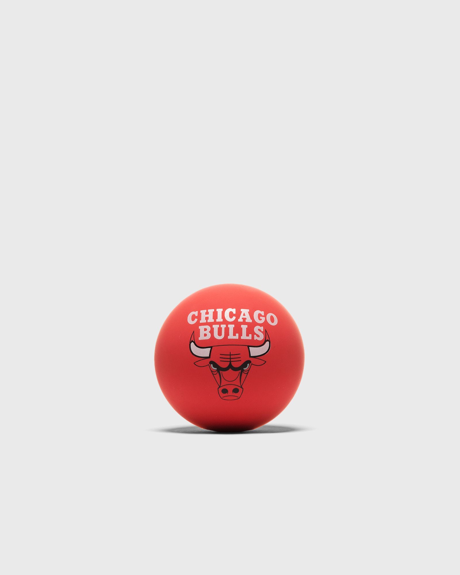 NBA Spaldeens Bulls