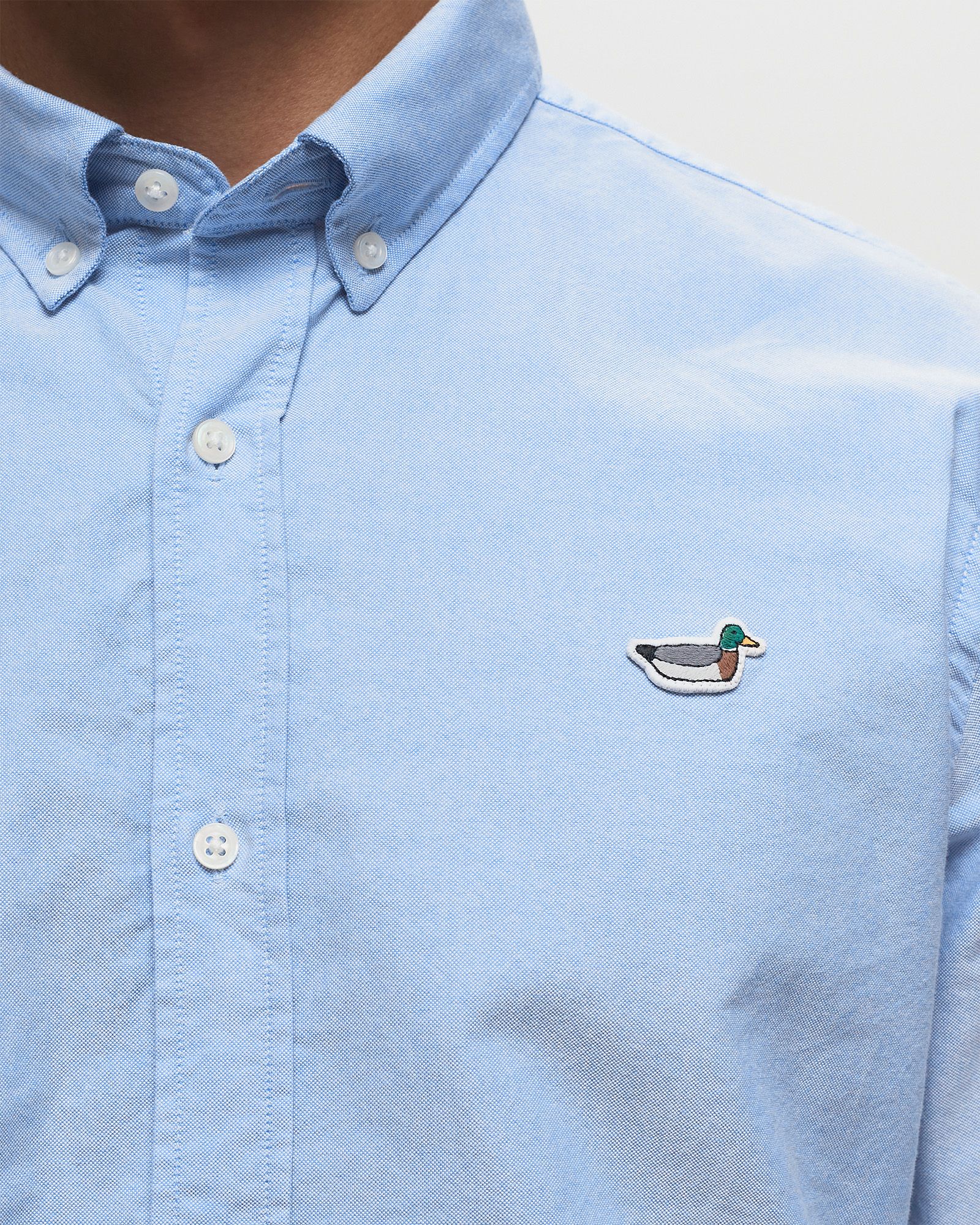 BD SHIRT DUCK EDITION OXFORD NS