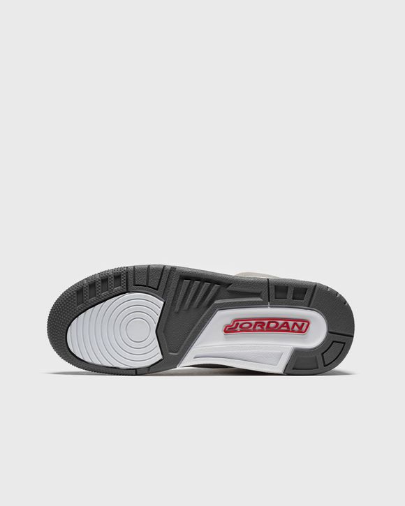 Air Jordan 3 Retro (GS) "Cool Grey"