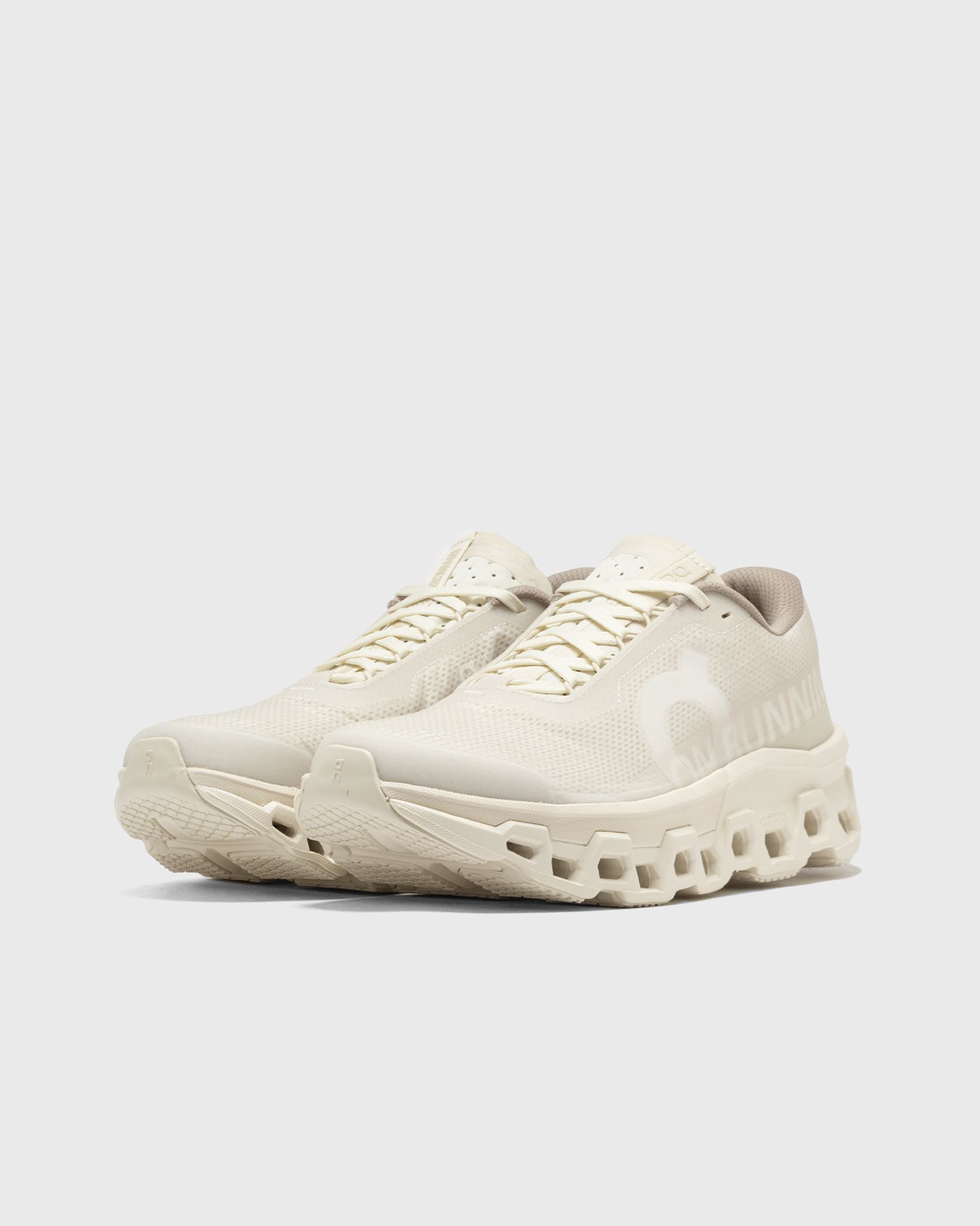 WMNS x INVINCIBLE Cloudmonster 2