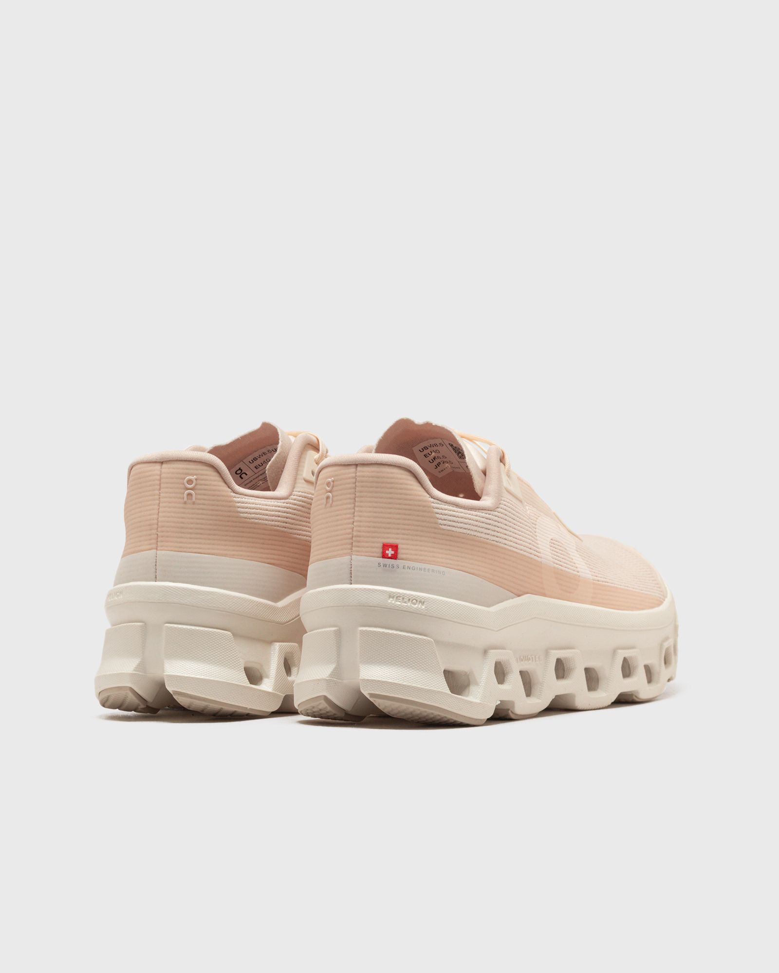 WMNS Cloudmonster Void