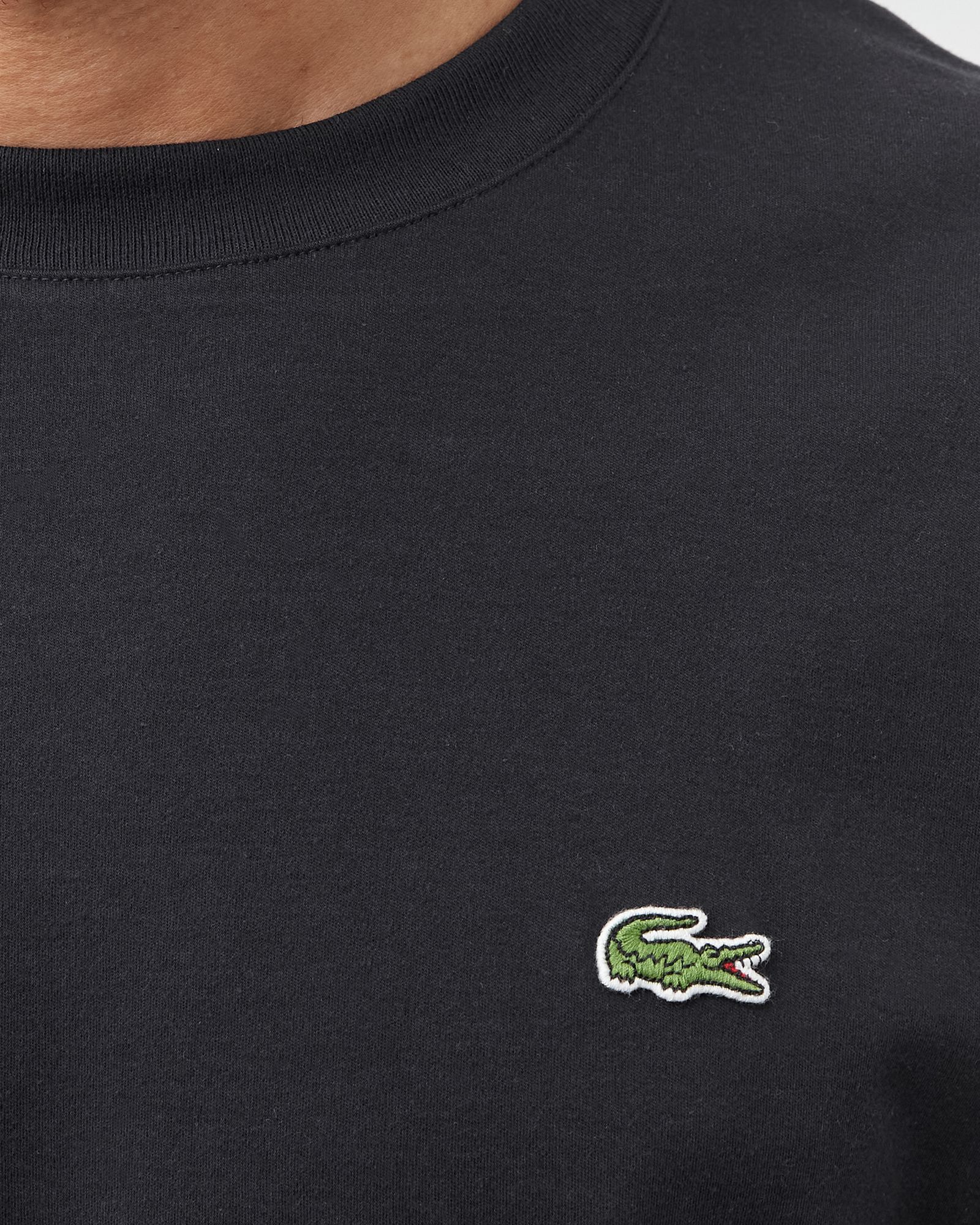 Crew Neck Organic Cotton TEE