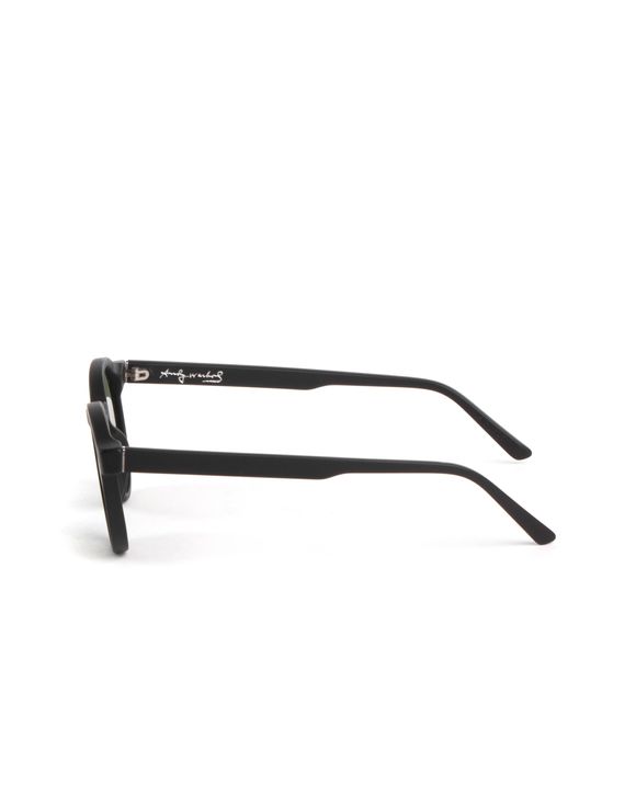 The Iconic Series Sunglasses