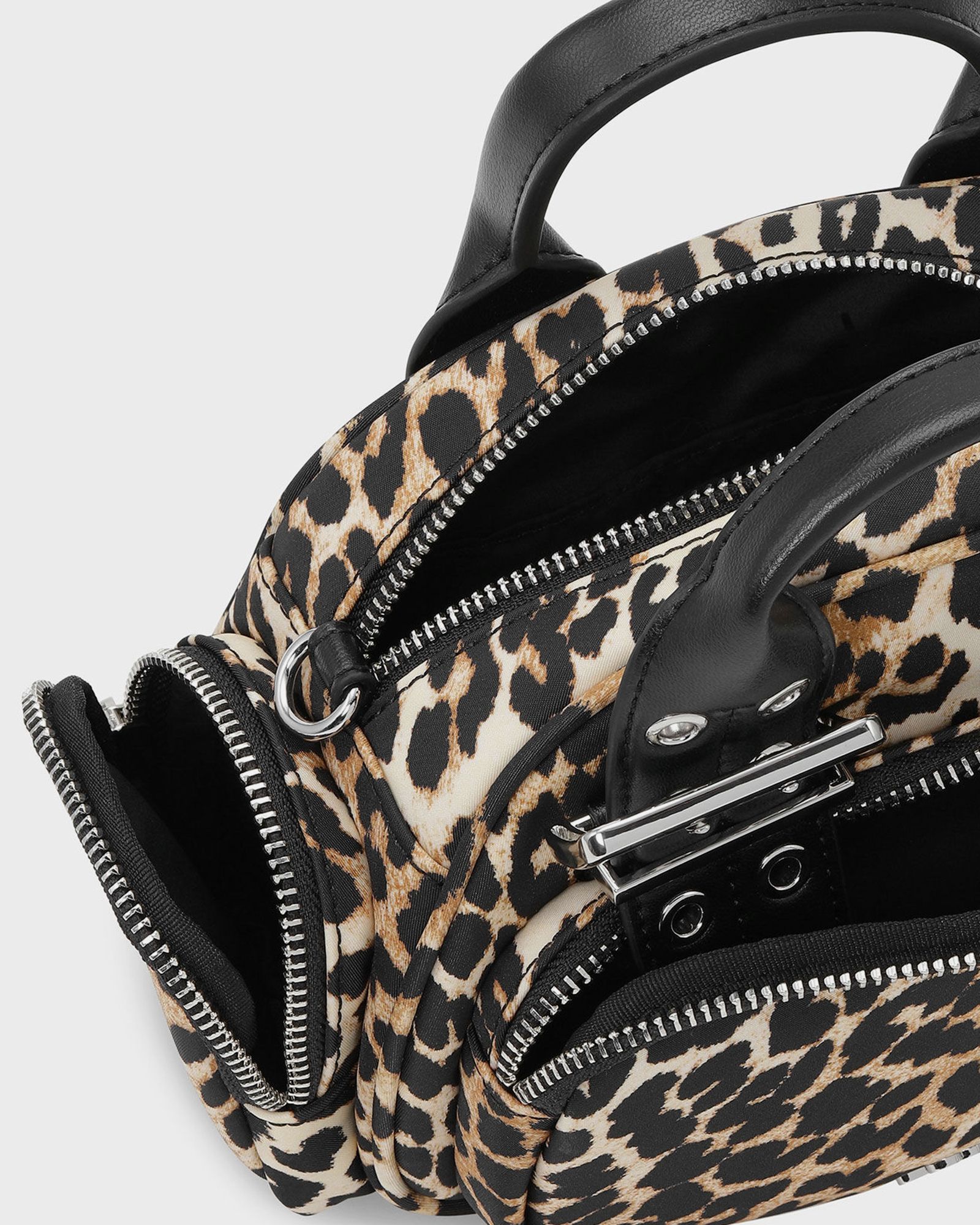 Bucky Polochon Mini Print