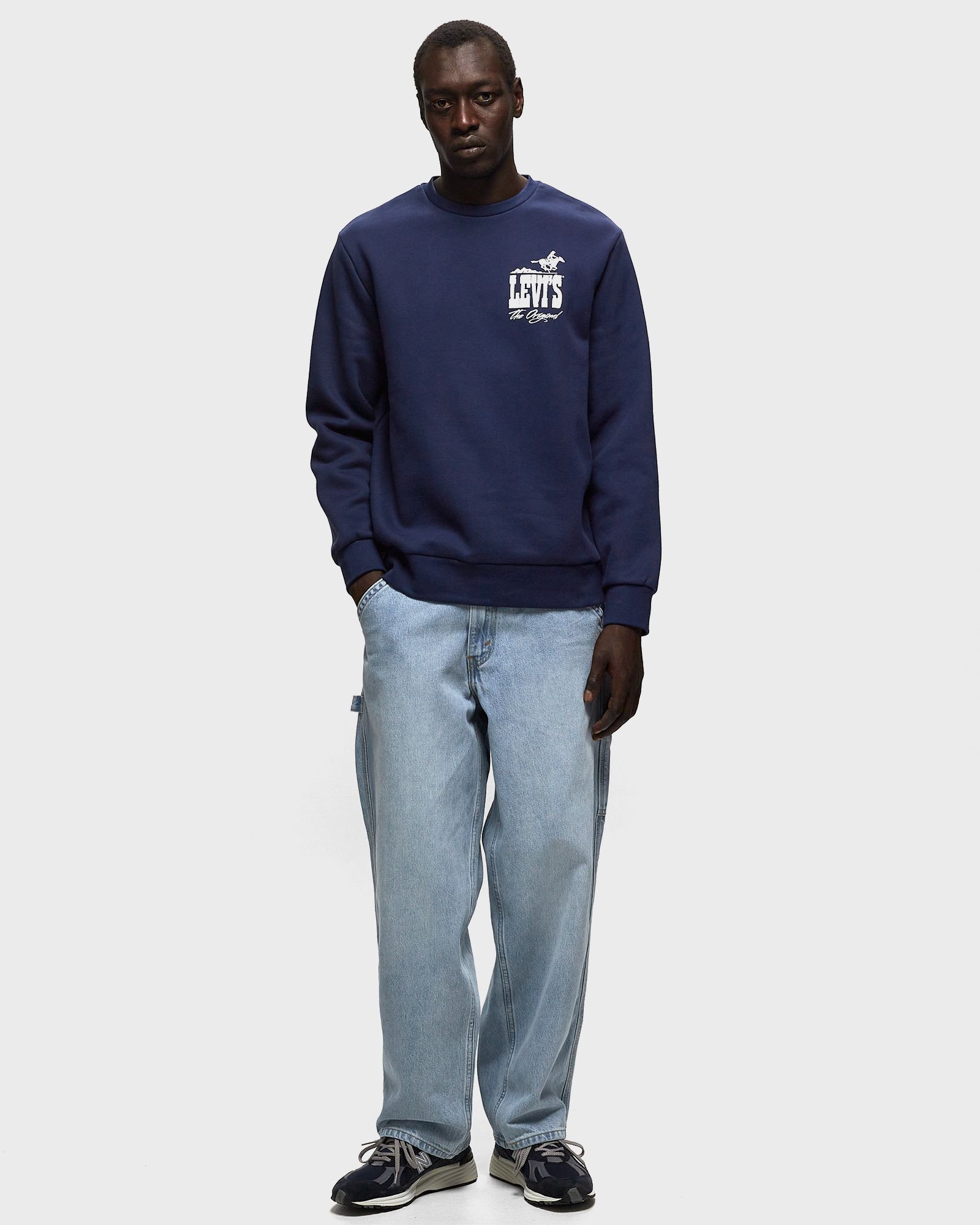 SILVERTAB BAGGYCARPENTER