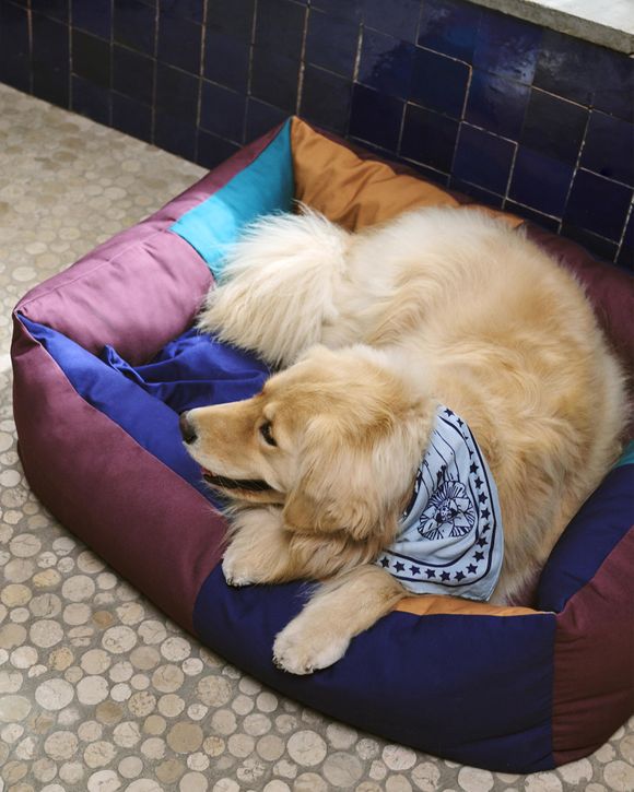 HAY Dogs Bed
