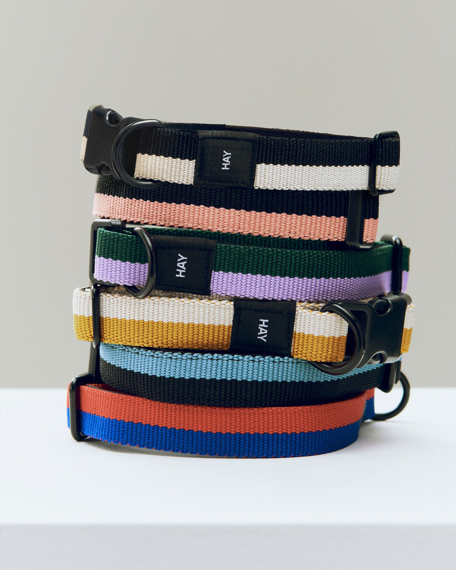 HAY Dogs Collar Flat-M/L