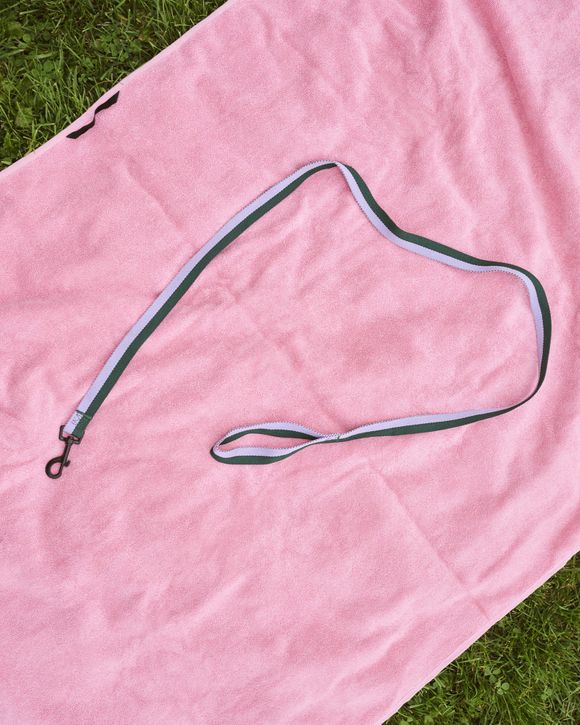HAY Dogs Leash