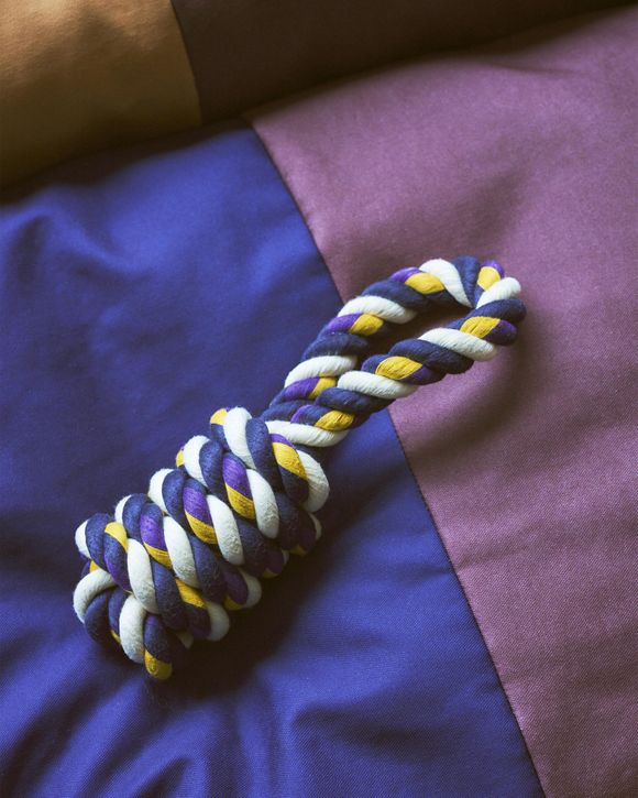 HAY Dogs Rope Toy
