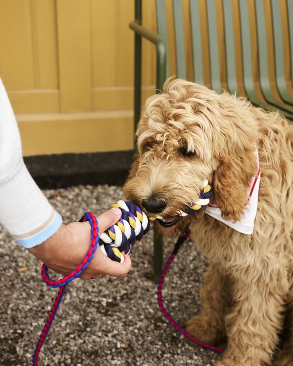 HAY Dogs Rope Toy