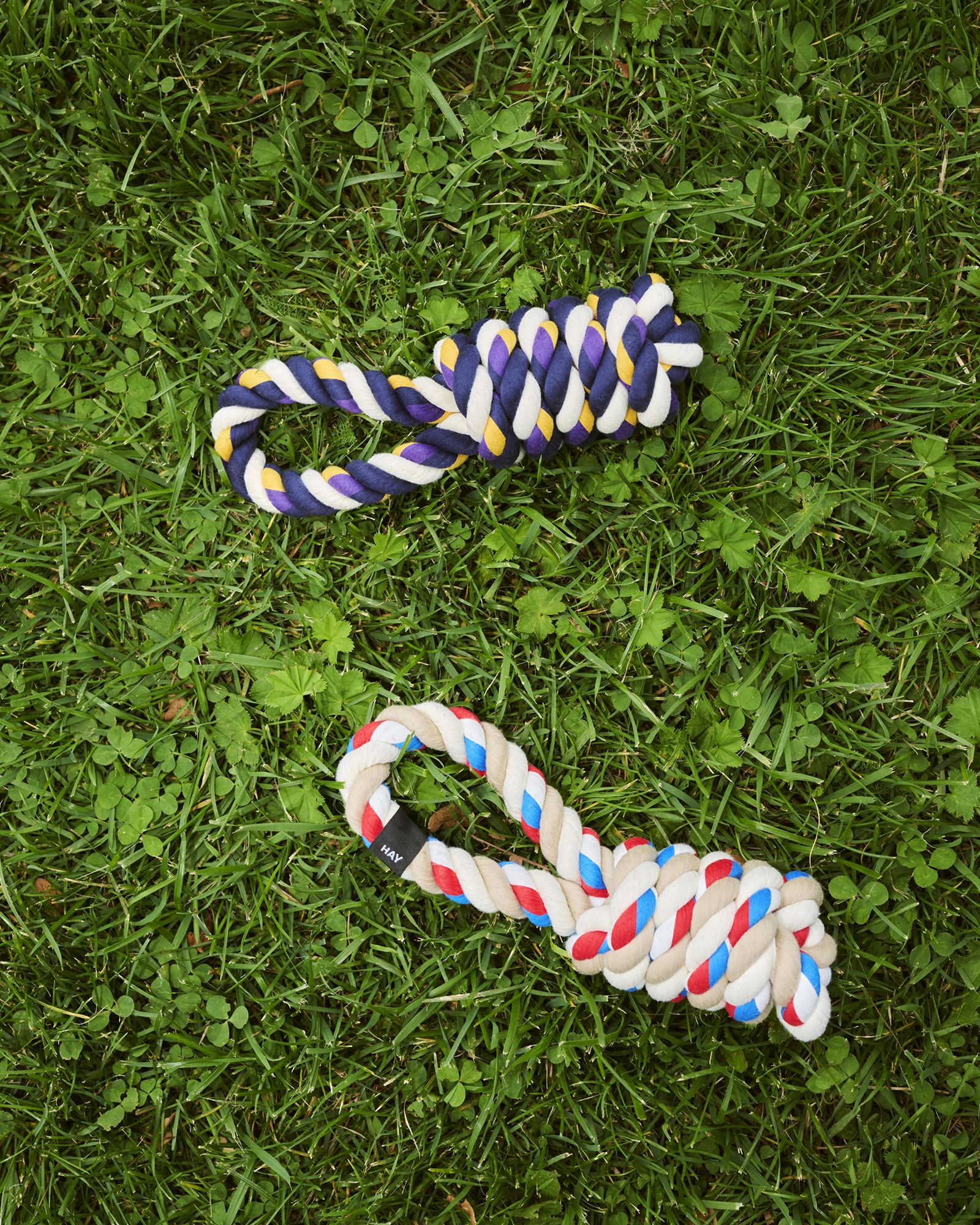 HAY Dogs Rope Toy