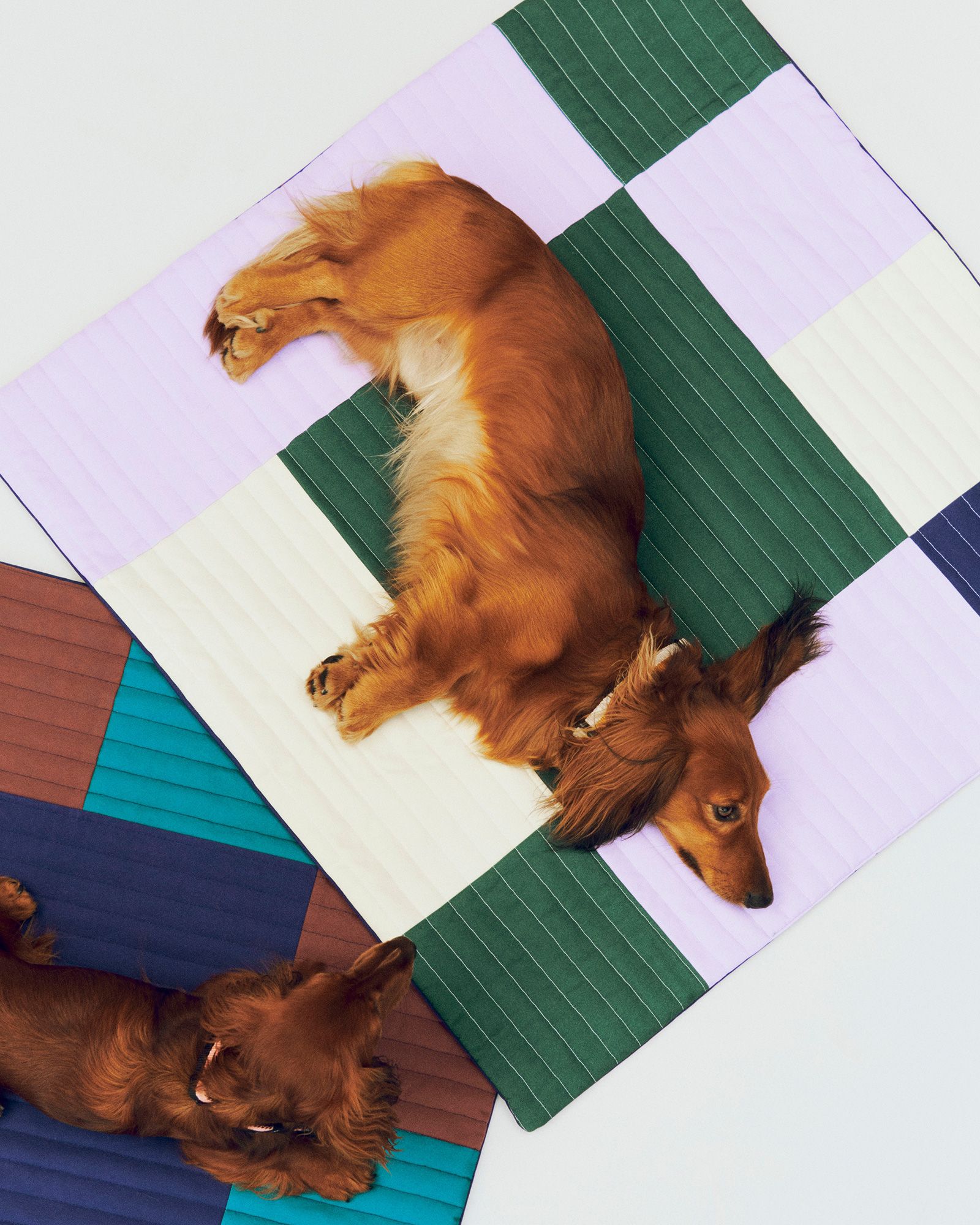 HAY Dogs Travel Blanket-80 x 80