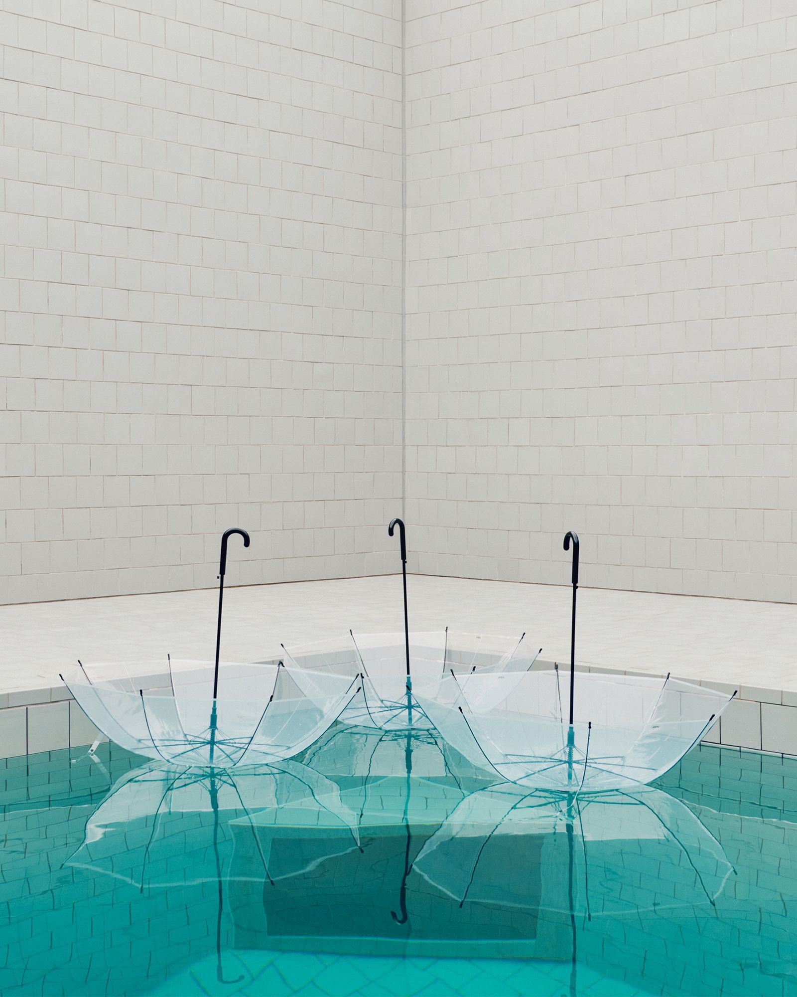 Canopy Umbrella Clear