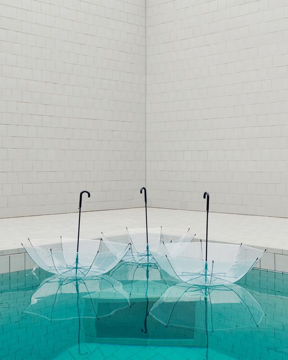 Canopy Umbrella Clear