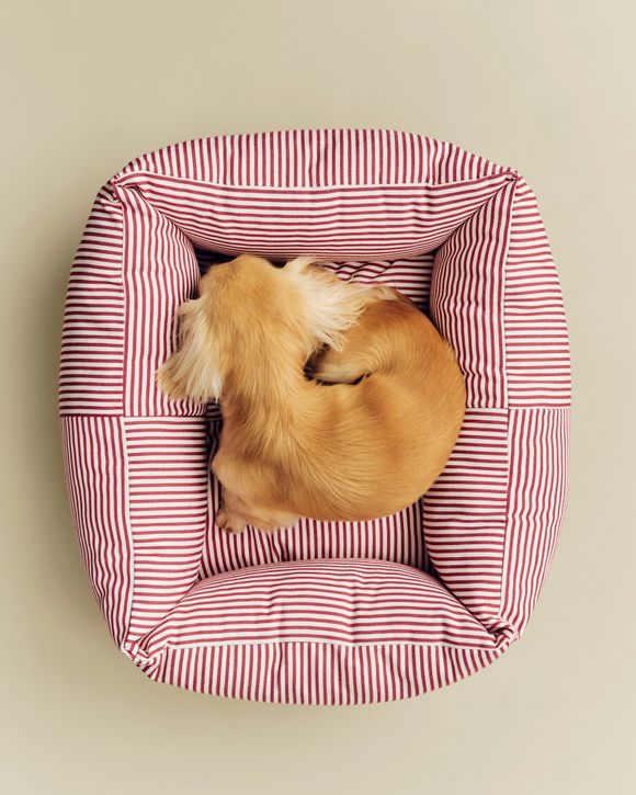 hundemantel dackel Hundemantel Dackel Brooklyn Tweed Black