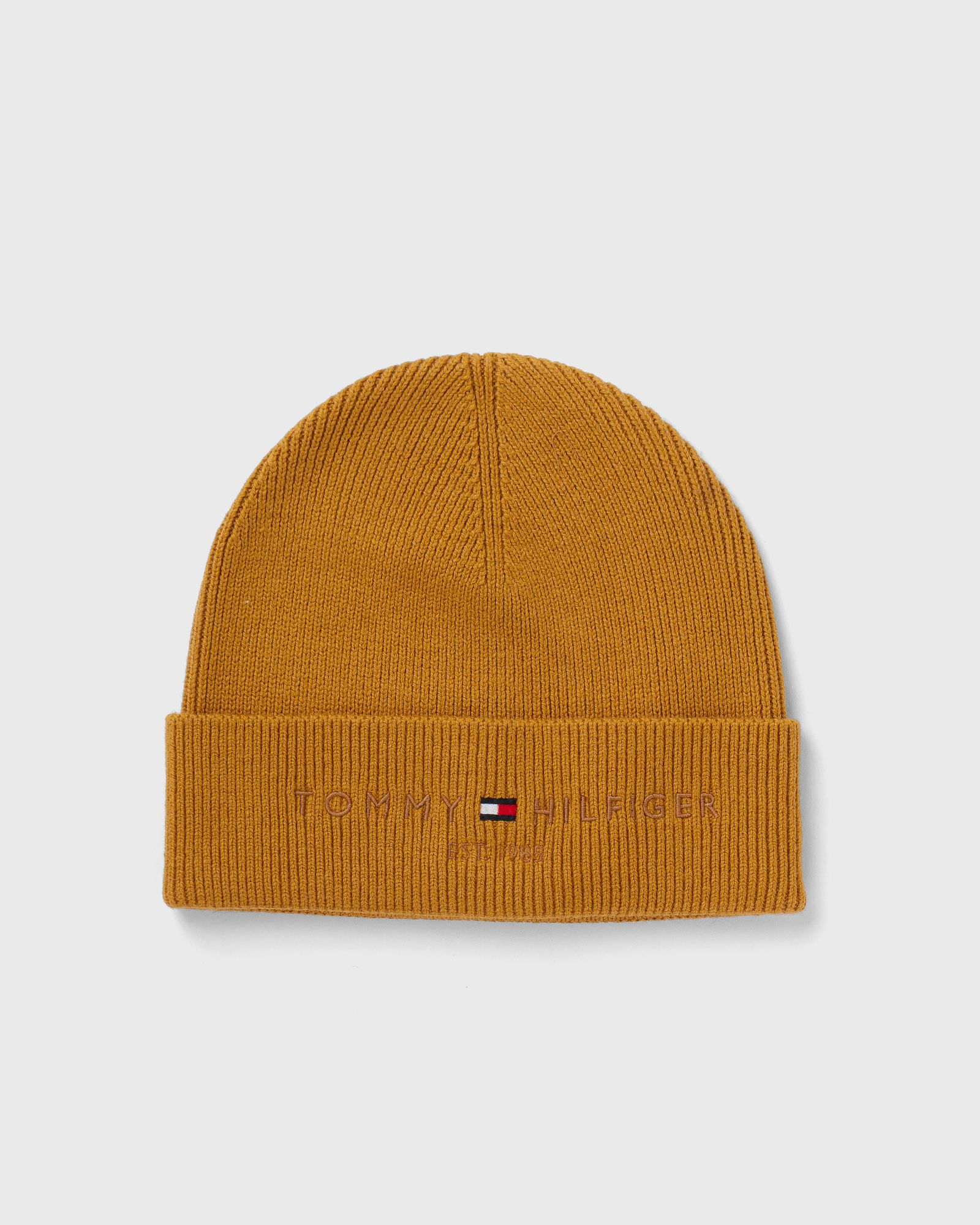 ESTABLISHED BEANIE