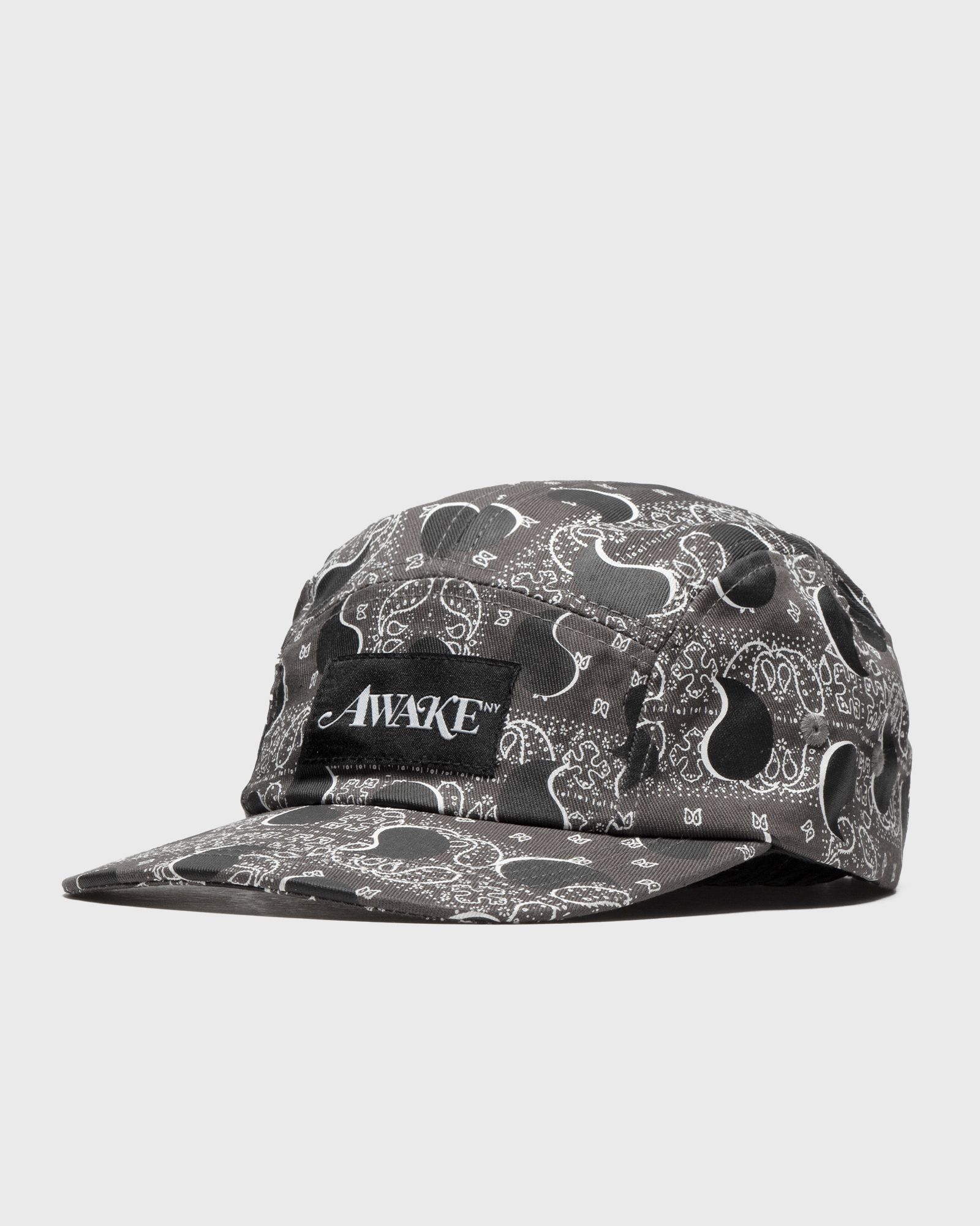 BIG PAISLEY 5 PANEL CAP