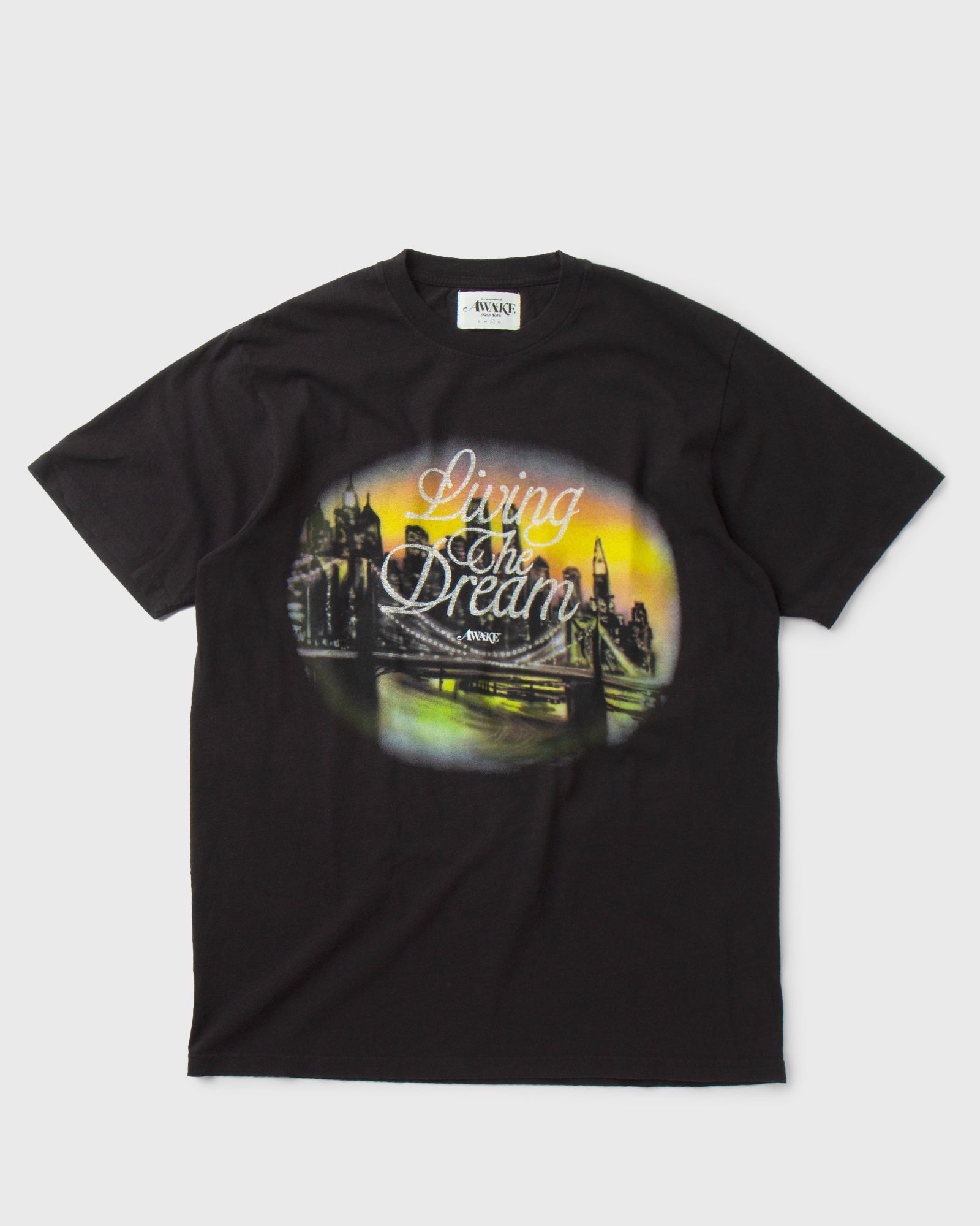 LIVING THE DREAM TEE