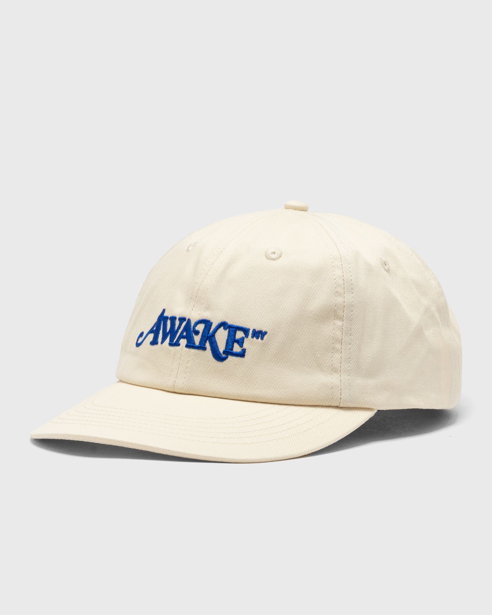 CLASSIC DAD HAT