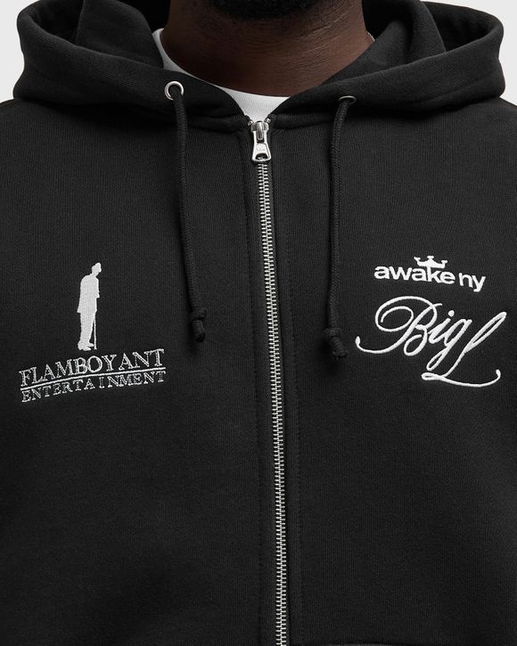 THE BIG PICTURE ZIP HOODIE