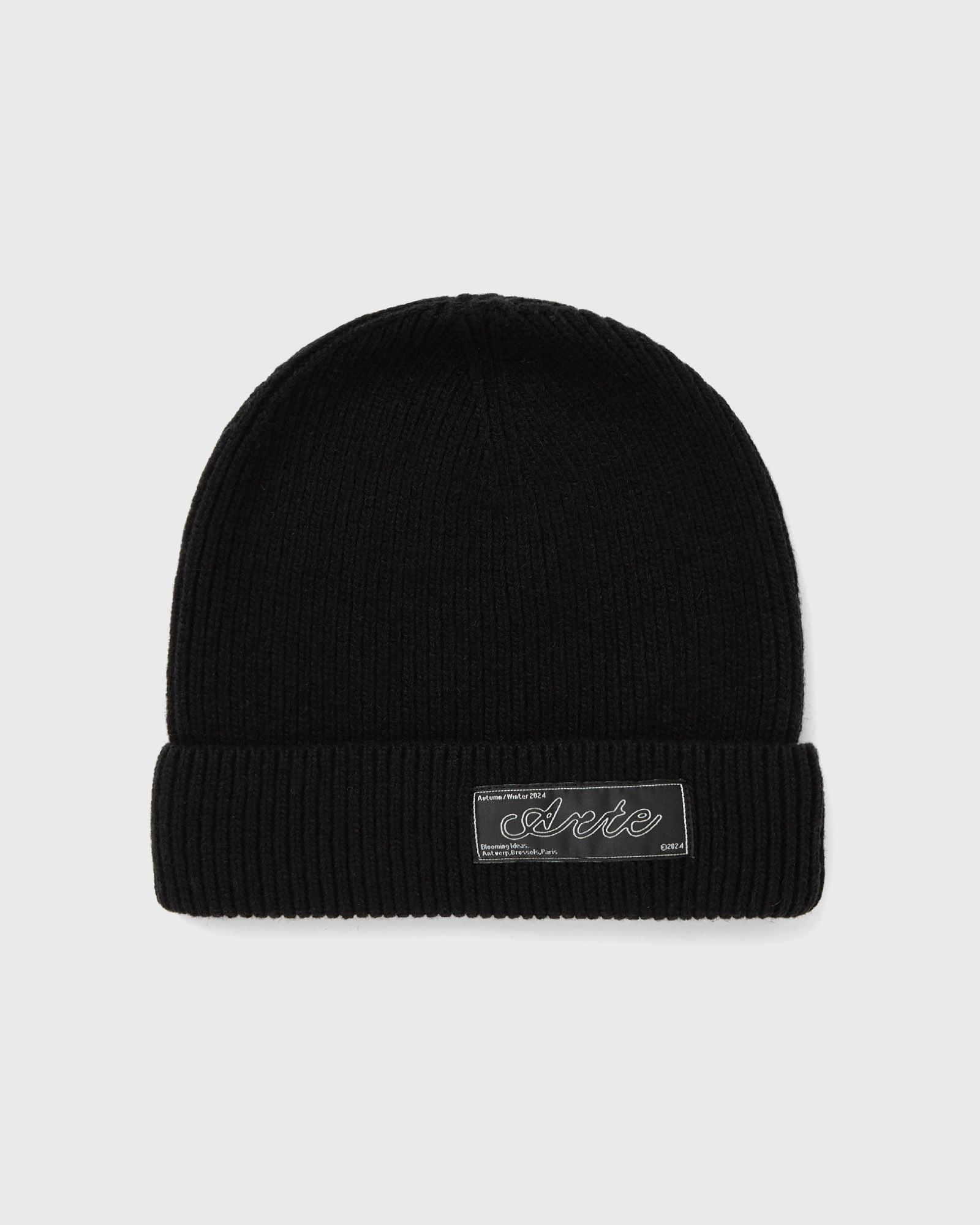 Basic Metal logo beannie