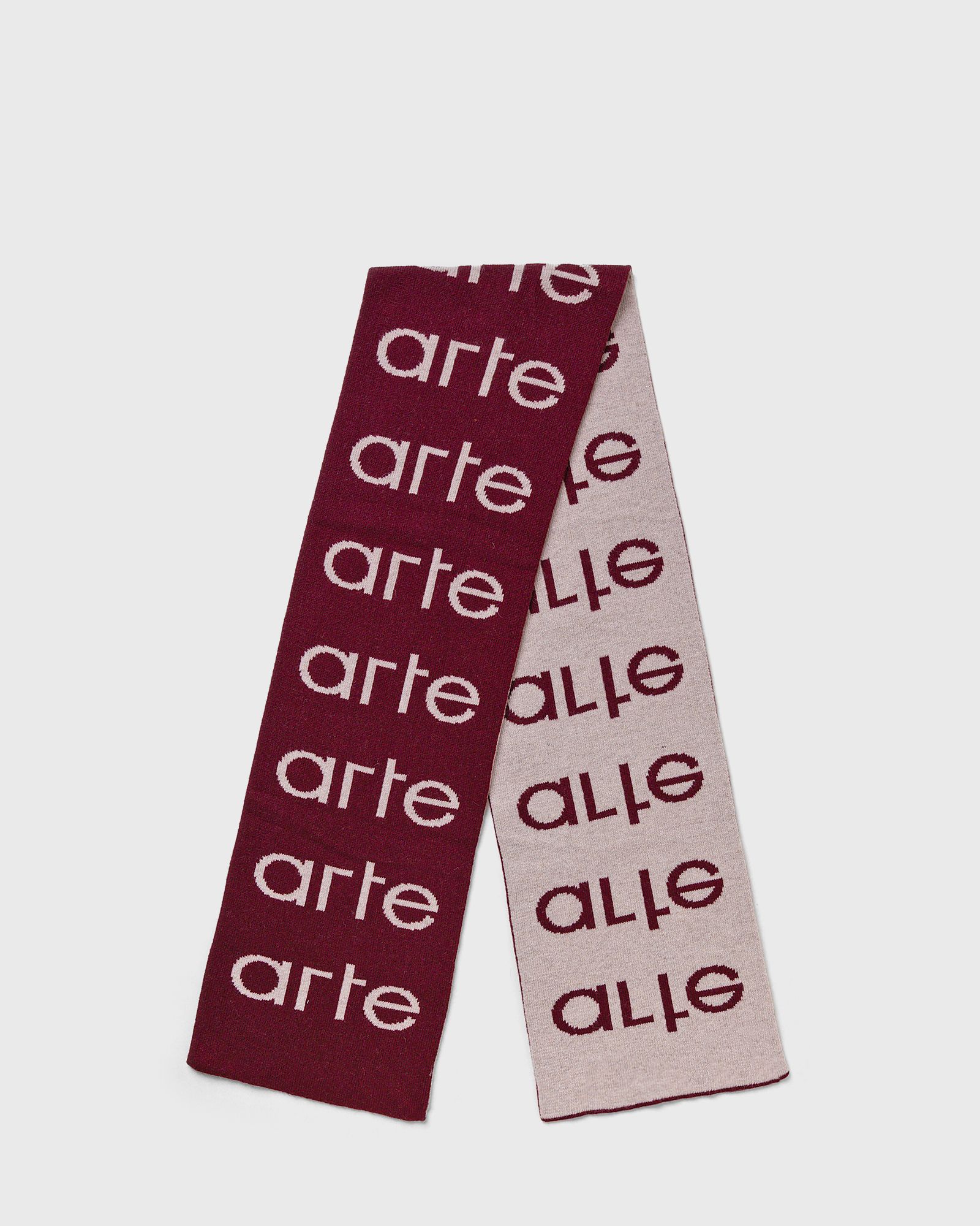 Arte Logo Scarf