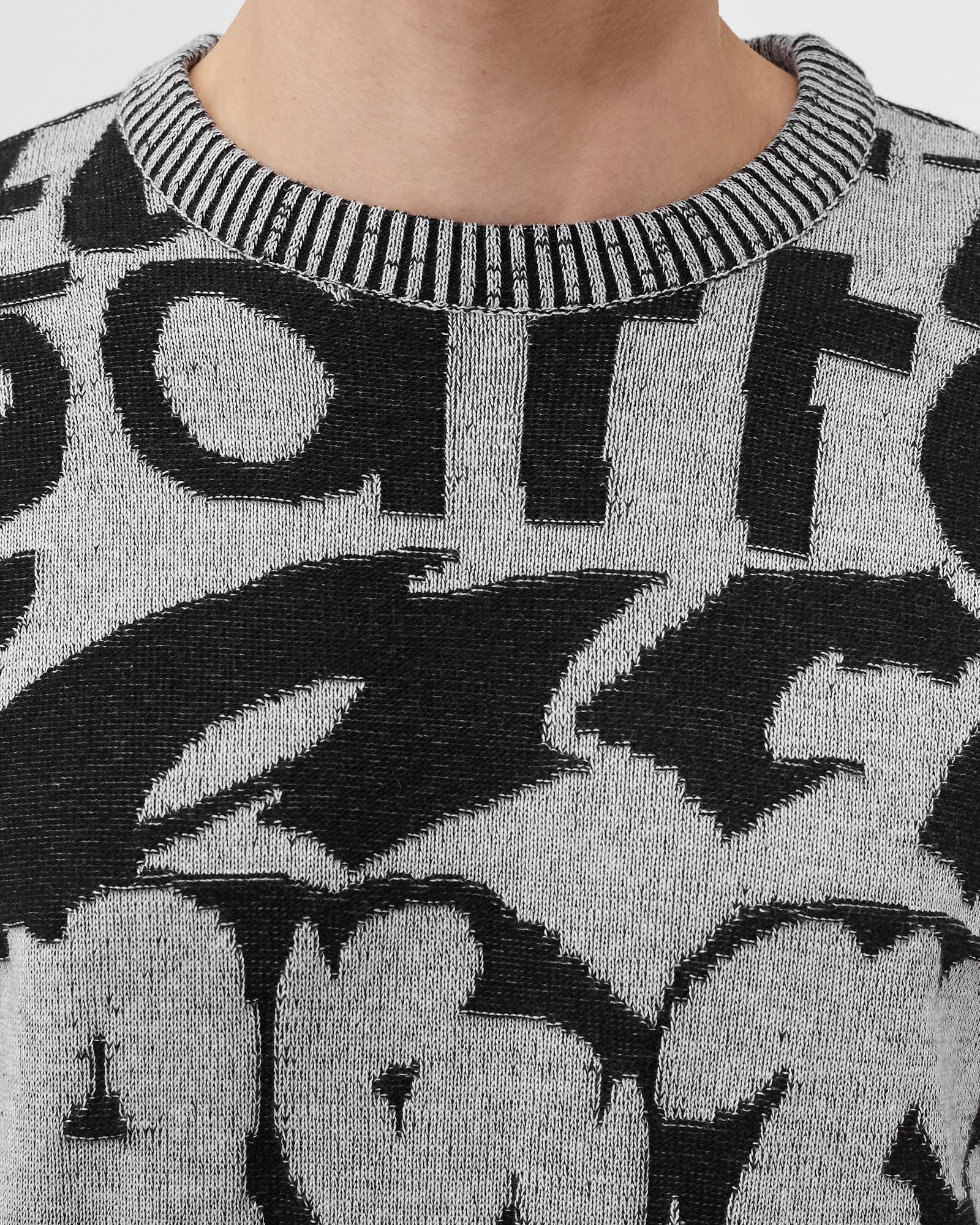 Allover jacquard Knit Sweater