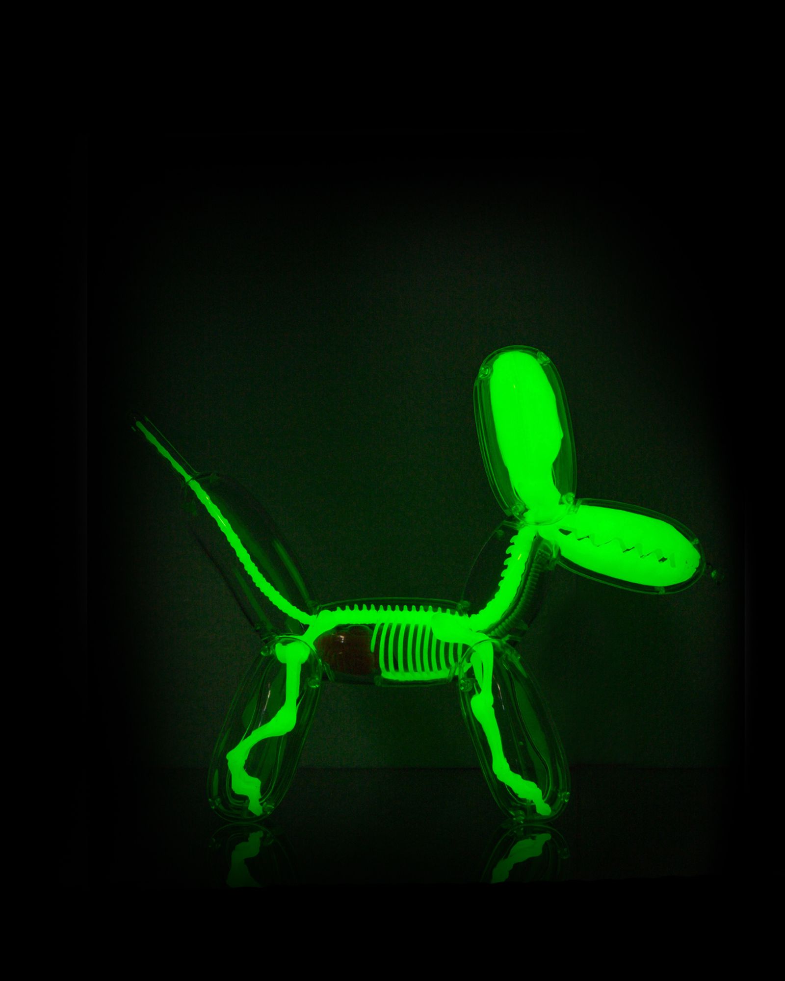 Balloon Dog Anatomy by Jason Freeny (GID Edition)