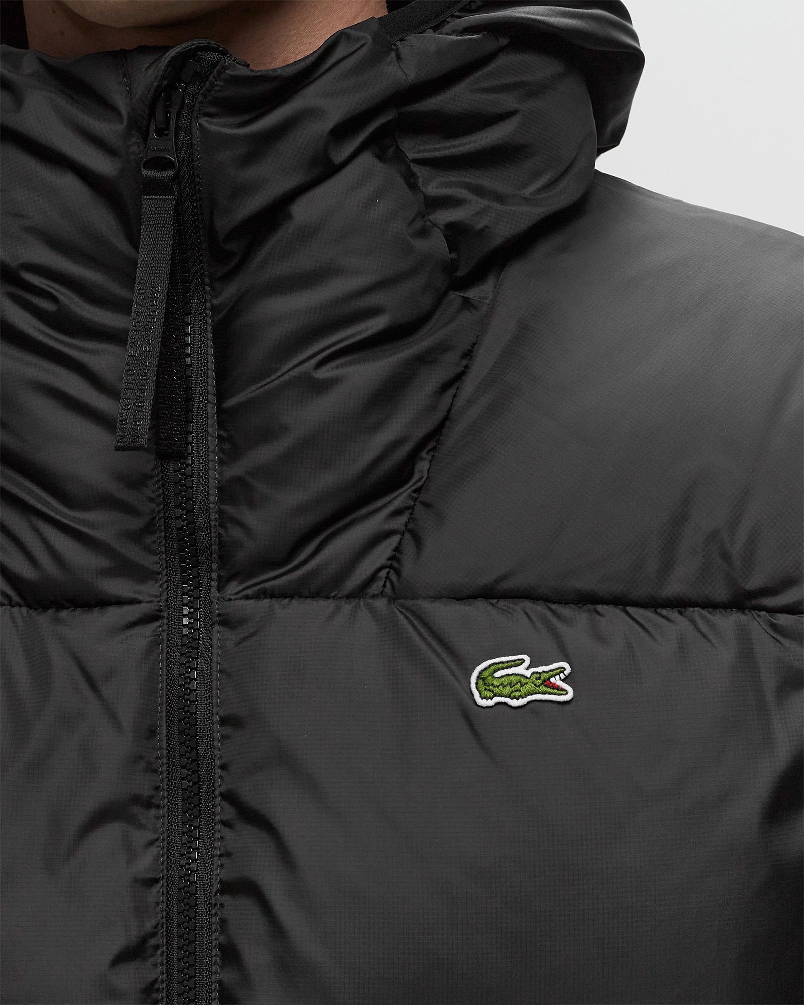 Short Water Repellent Hooded Puffed Jacket