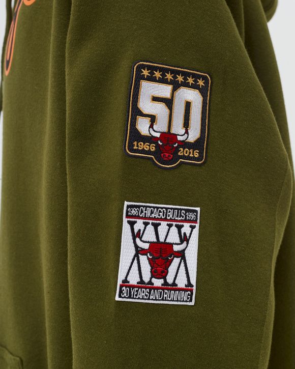 Mitchell & Ness CHICAGO BULLS - SCRIPT FLIGHT HOODY Green