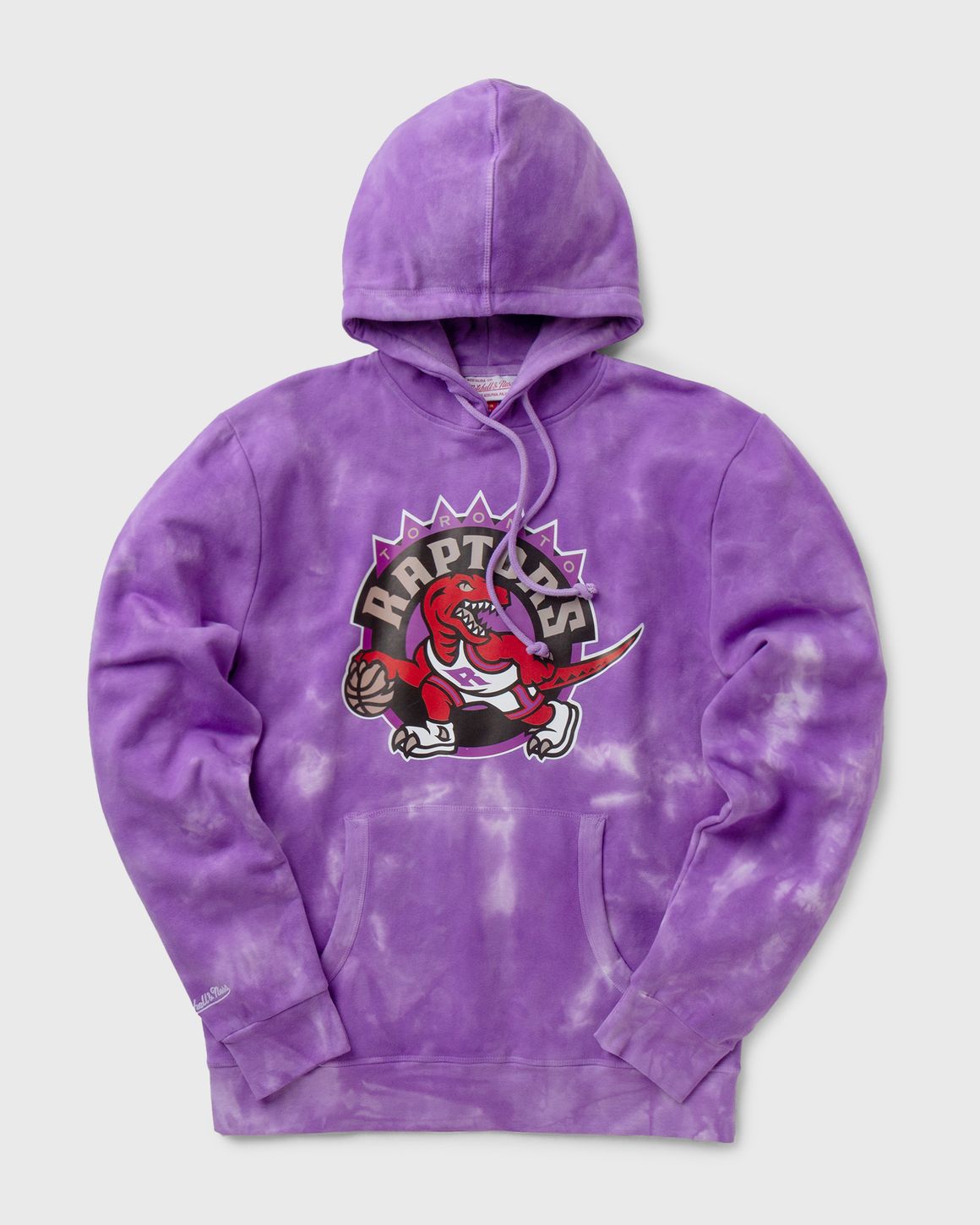 Raptors hoodie sale